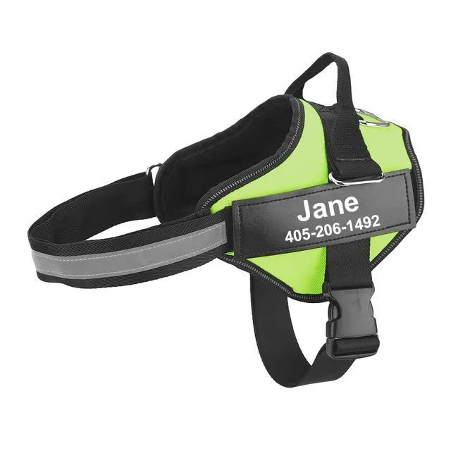 Personalized Dog Harness
