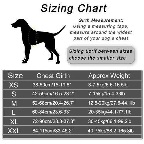 Personalized Dog Harness