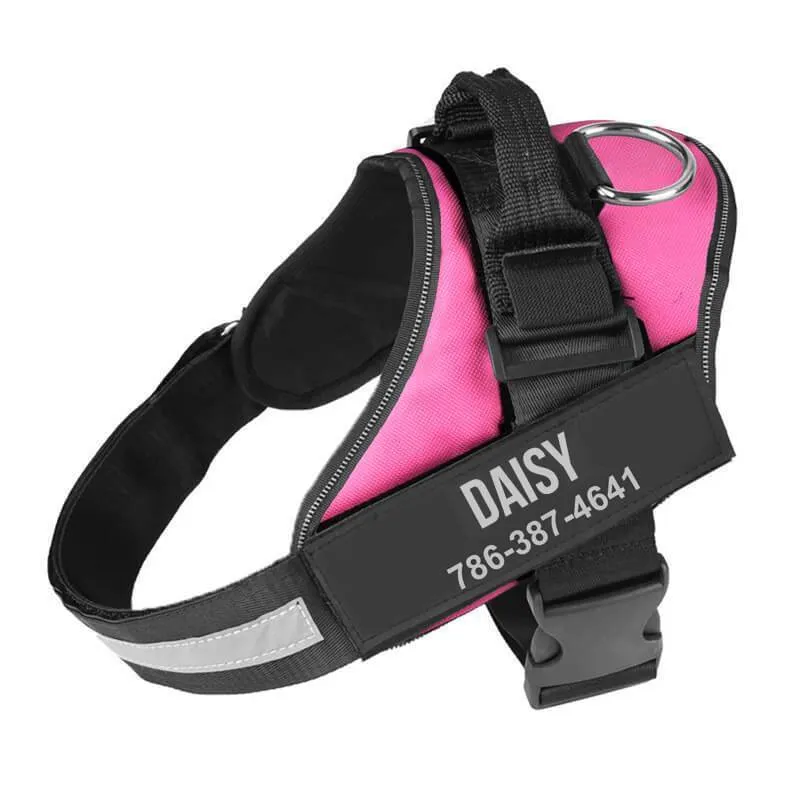 Personalized NO-PULL Harness *LIFETIME WARRANTY*