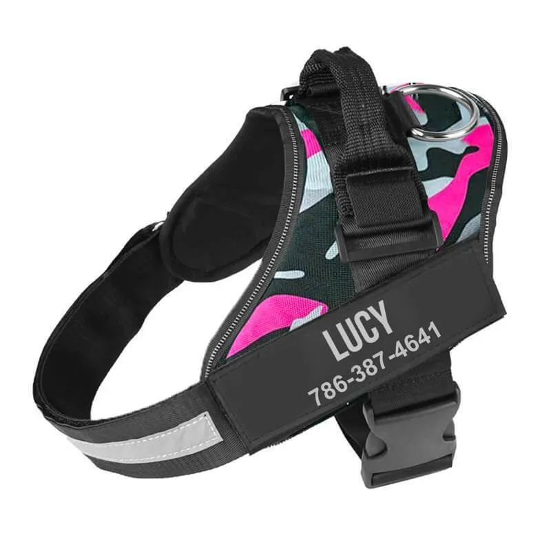 Personalized NO-PULL Harness *LIFETIME WARRANTY*
