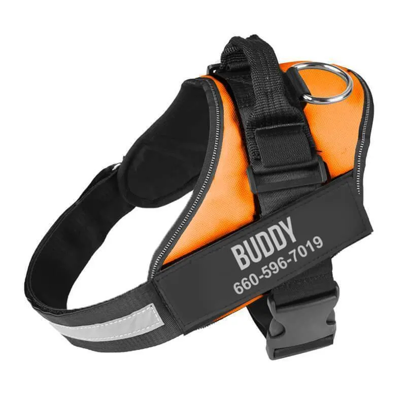 Personalized NO-PULL Harness *LIFETIME WARRANTY*