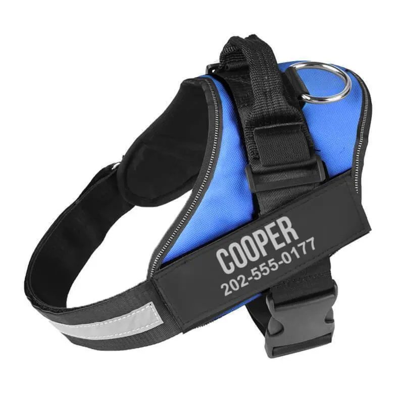 Personalized NO-PULL Harness *LIFETIME WARRANTY*