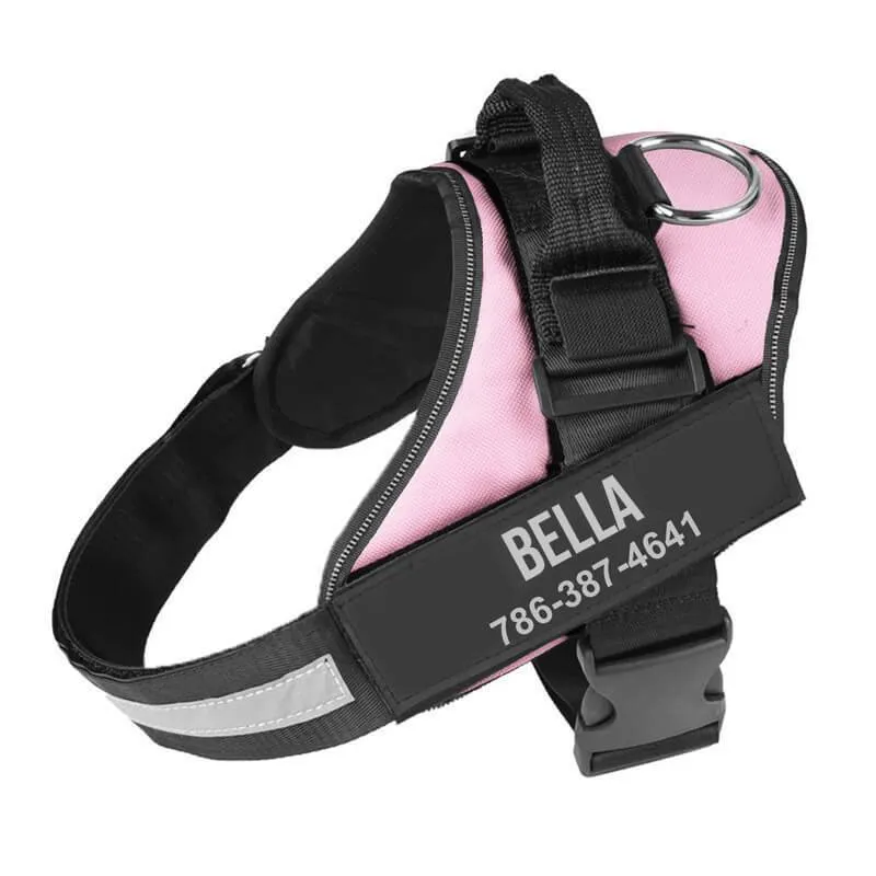 Personalized NO-PULL Harness *LIFETIME WARRANTY*