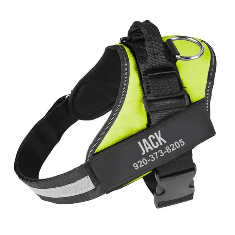 Personalized NO-PULL Harness *LIFETIME WARRANTY*