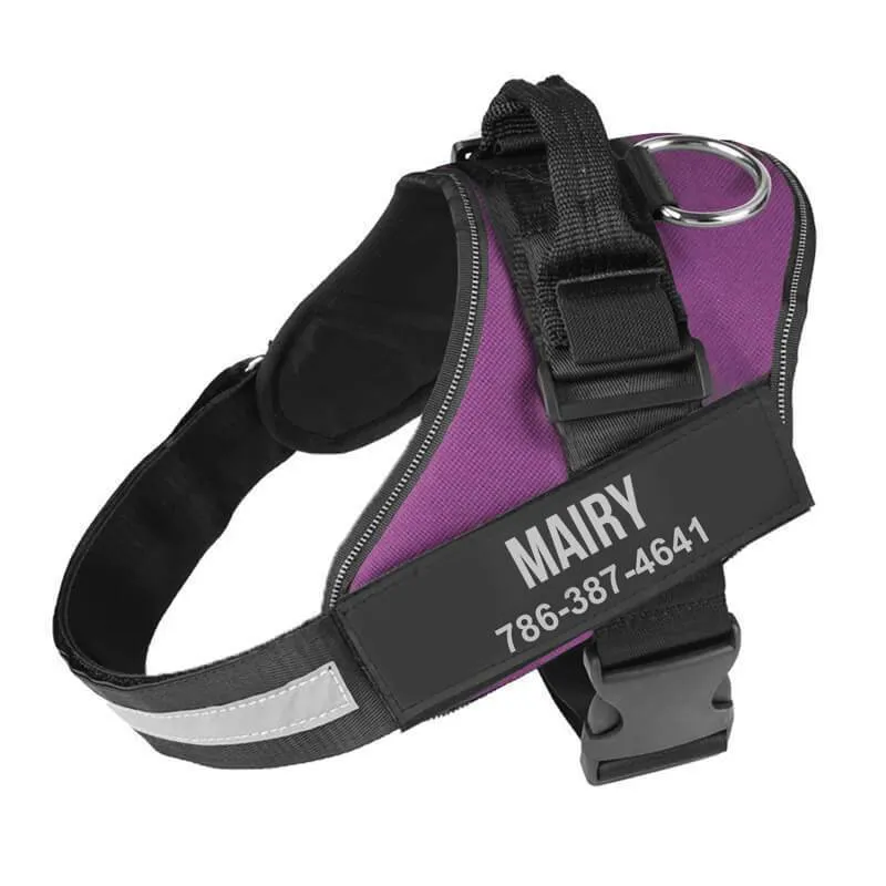 Personalized NO-PULL Harness *LIFETIME WARRANTY*
