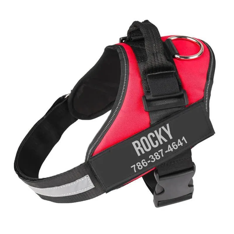 Personalized NO-PULL Harness *LIFETIME WARRANTY*