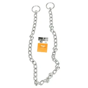 Pet Champion Chain Training Dog Collar, Large, 1.0 CT