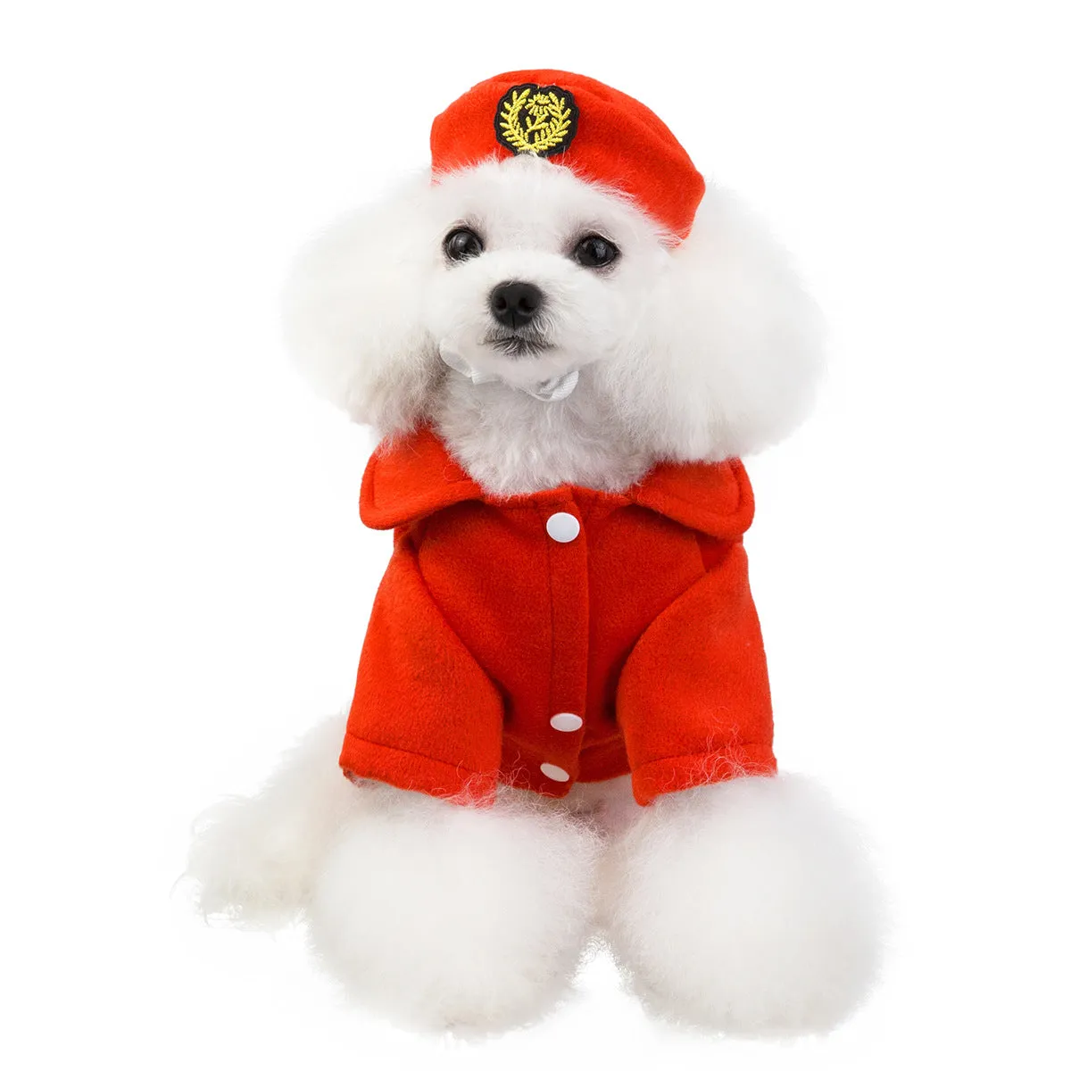 Pet / Dog / Cat Toby's 2 Piece woolen Coat with Cap
