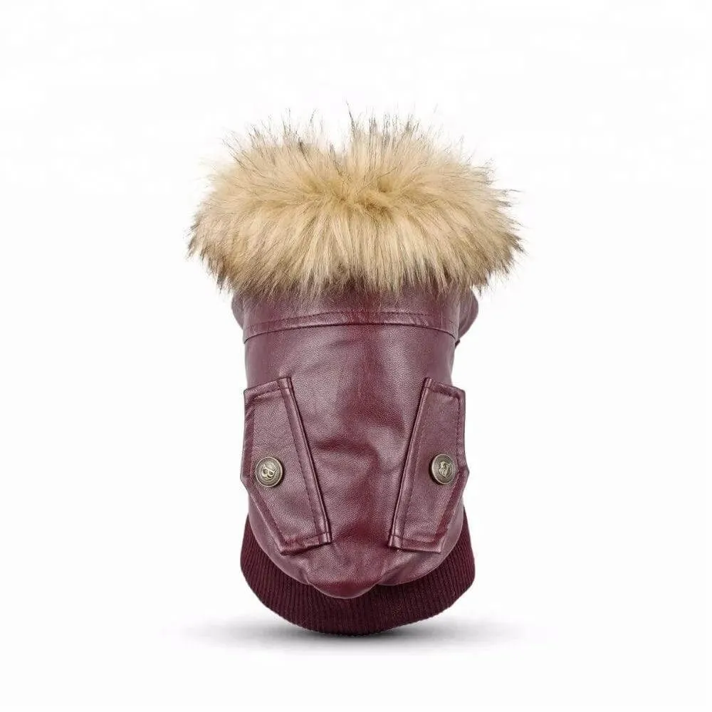 Pet Leather Jacket for Winter