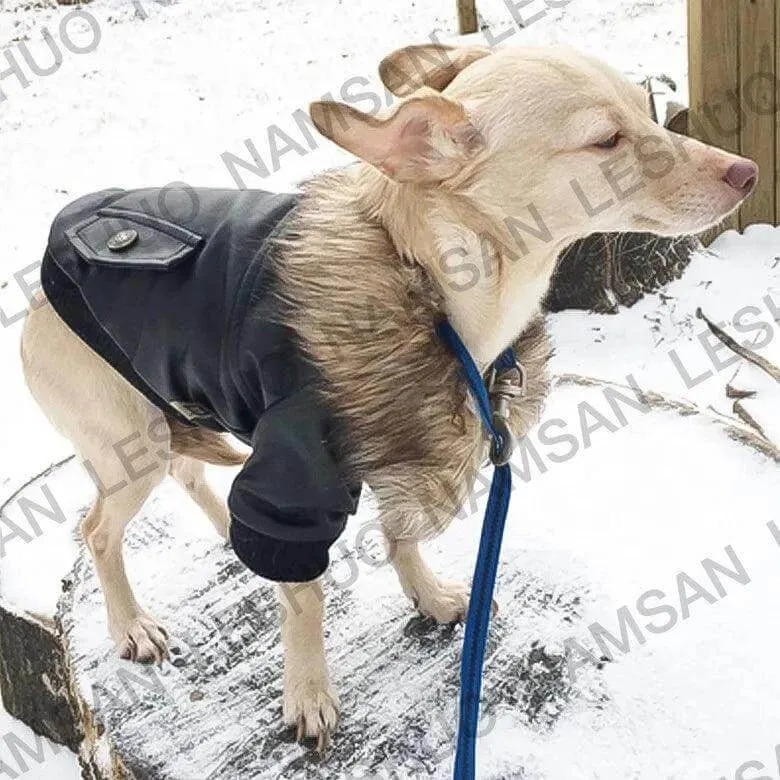 Pet Leather Jacket for Winter