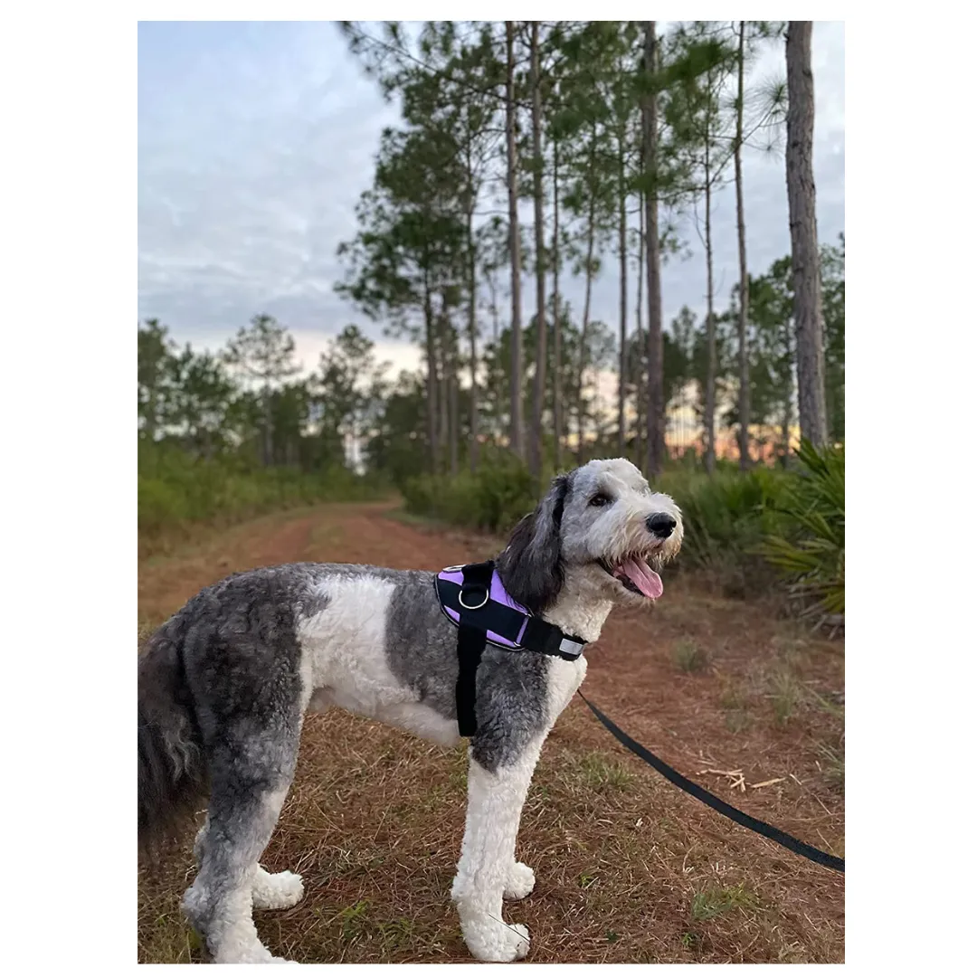 Pet Vest with 3 Leash