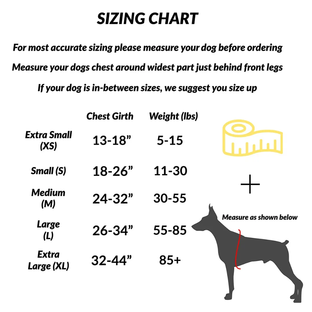 Pet Vest with 3 Leash