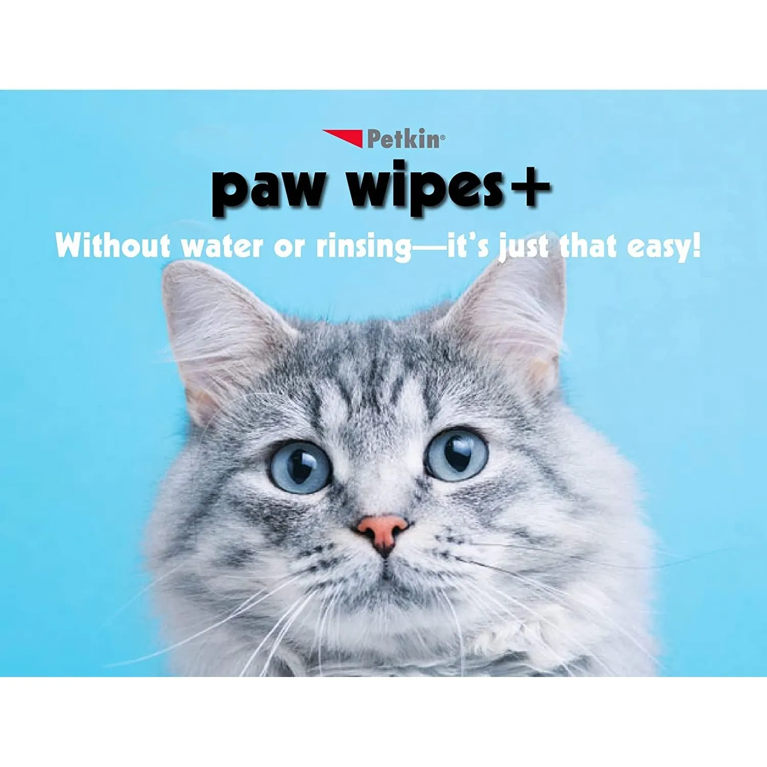 Petkin Paw Wipes Plus, 100 Orange Scented Wipes