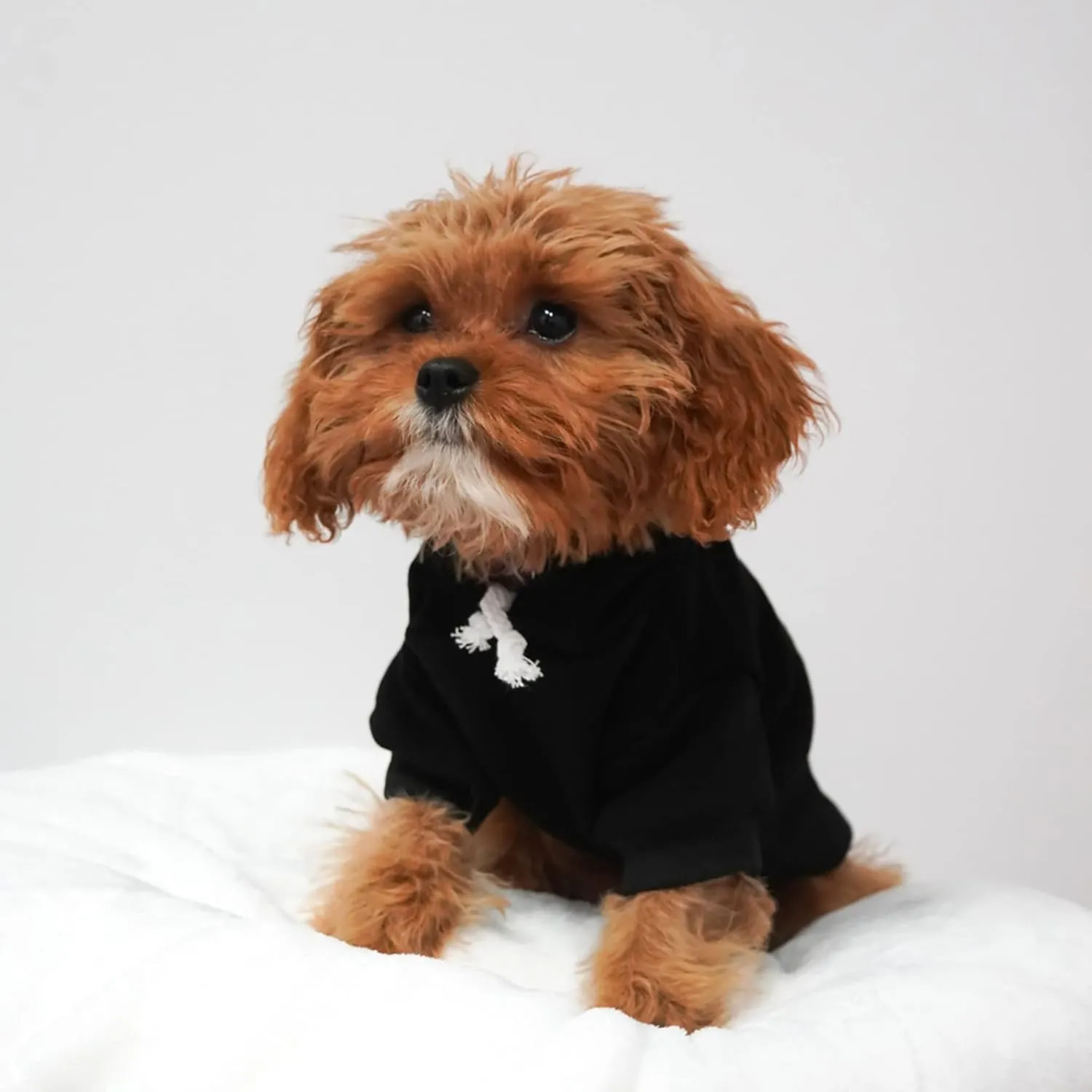Pit Crew Dog Hoodie Fleece Lined Pullover Sweatshirt with Leash Hole (Black, 2X-Large 49)