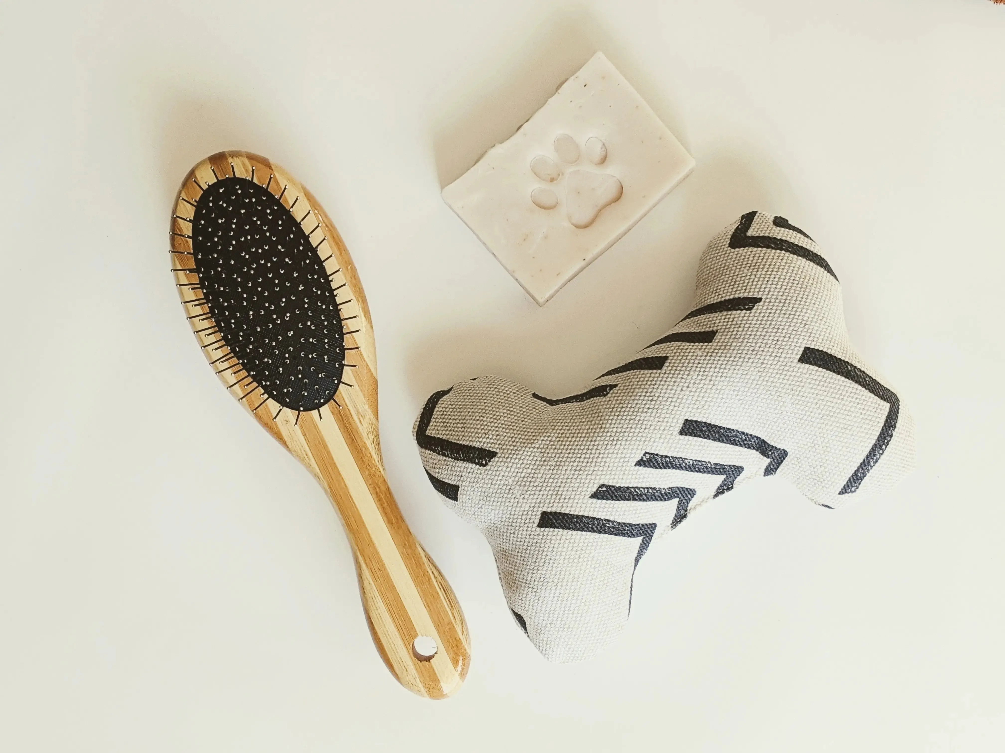 Plastic Free Vegan Pet Brush