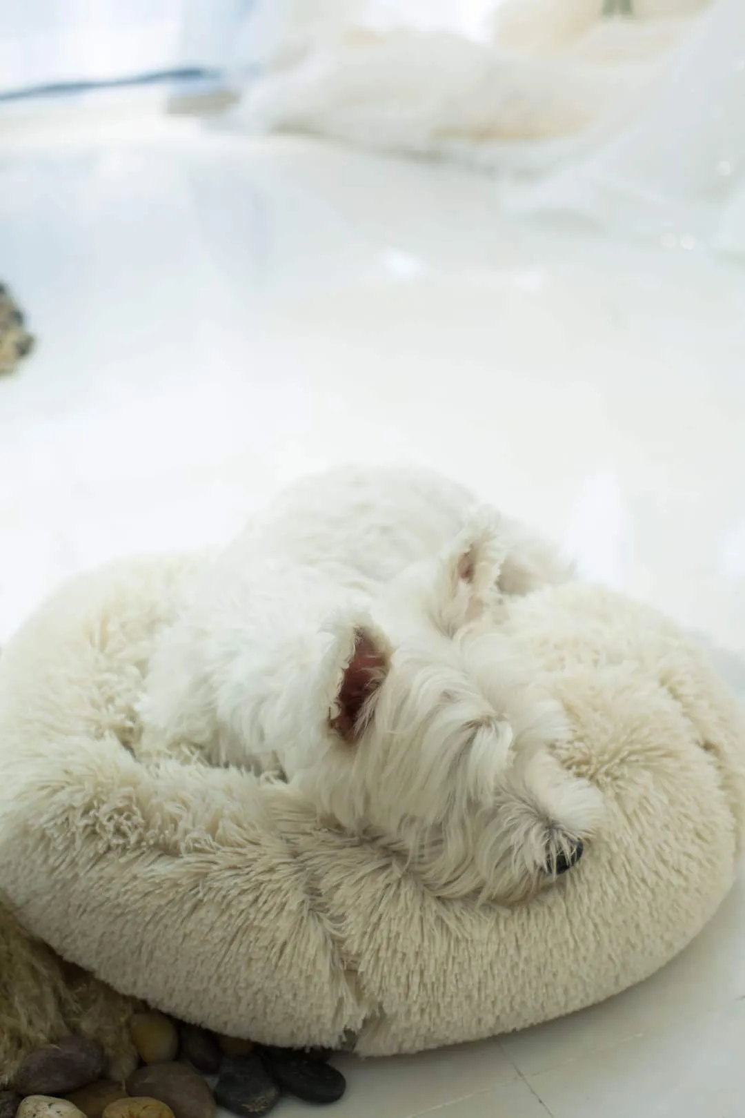 Plush Marshmallow Pet Bed