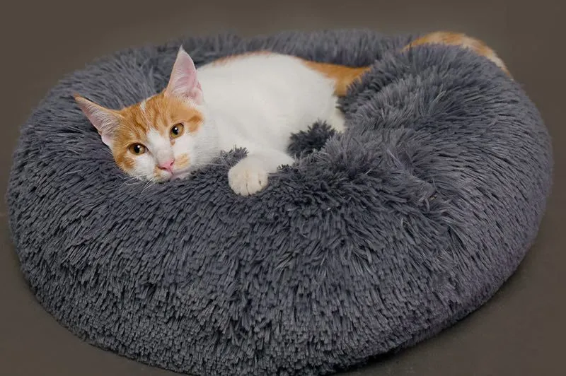 Plush Marshmallow Pet Bed