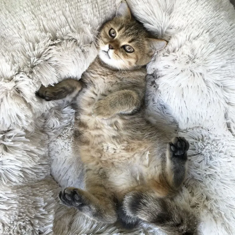Plush Marshmallow Pet Bed