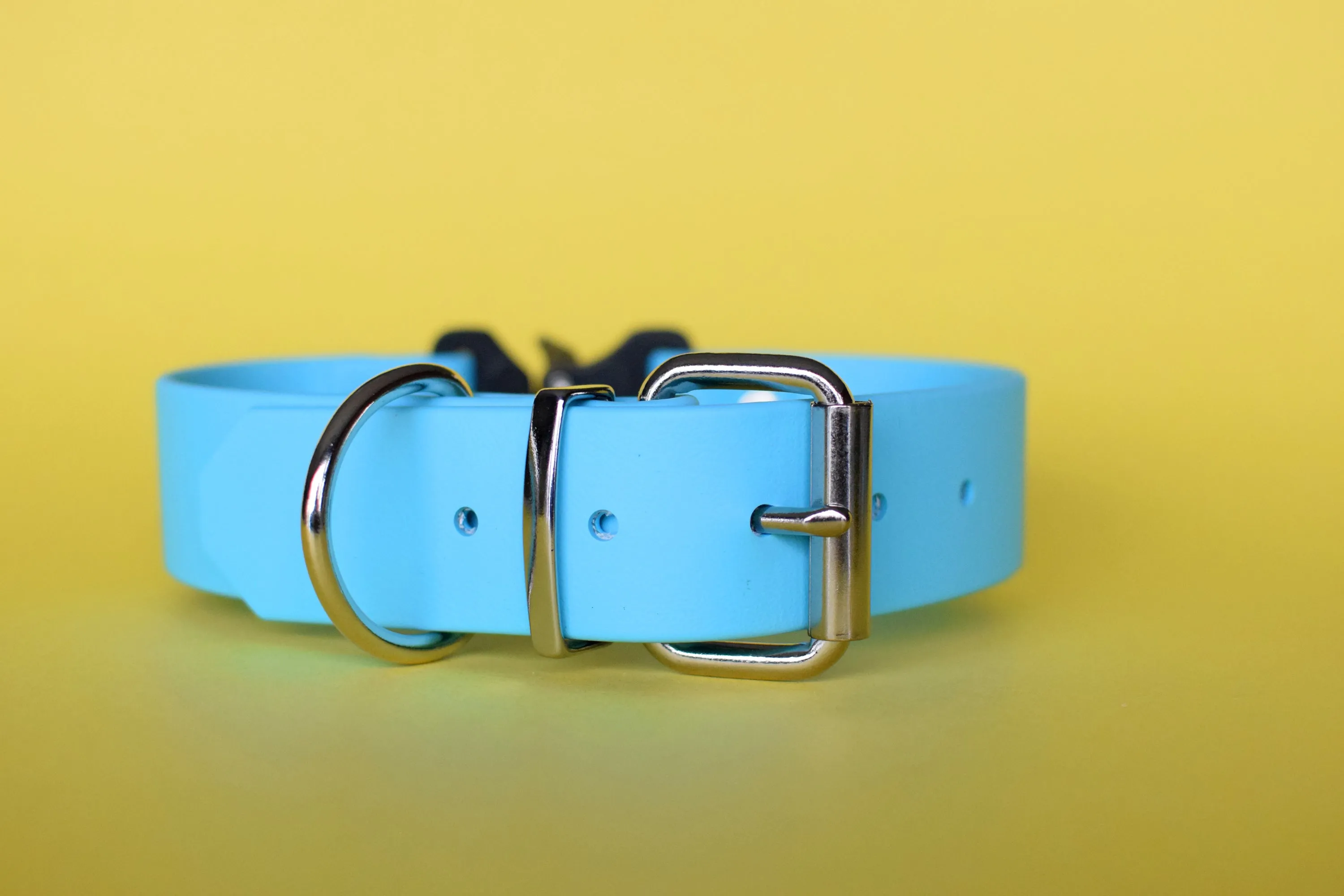 PREMADE COLLECTION - Baby Blue & Nickel Biothane Dog Collar