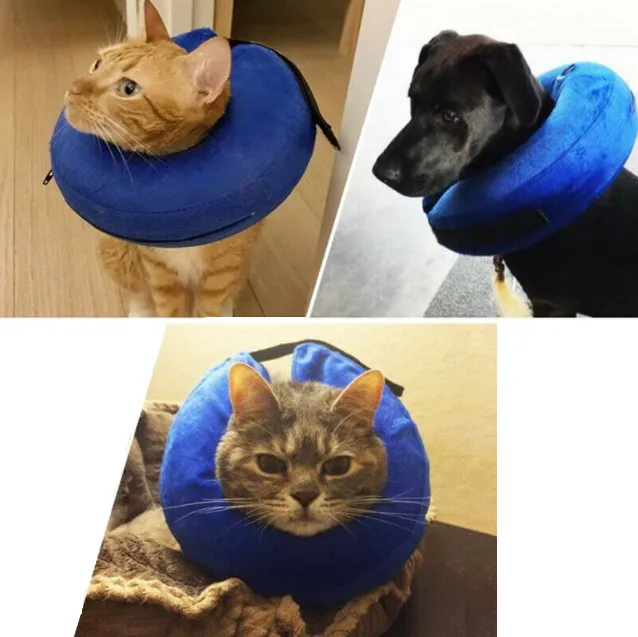 Protective Inflatable Collar