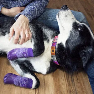 RC Pets Sport Pawks