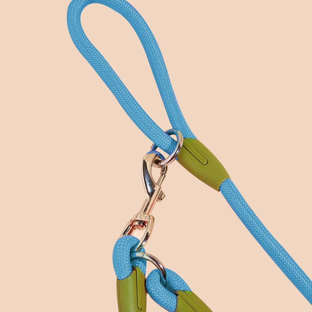SOGA 220cm Multifunction Hands Free Rope Pet Cat Dog Puppy Double Ended Leash for Walking Training Tracking Obedience Blue