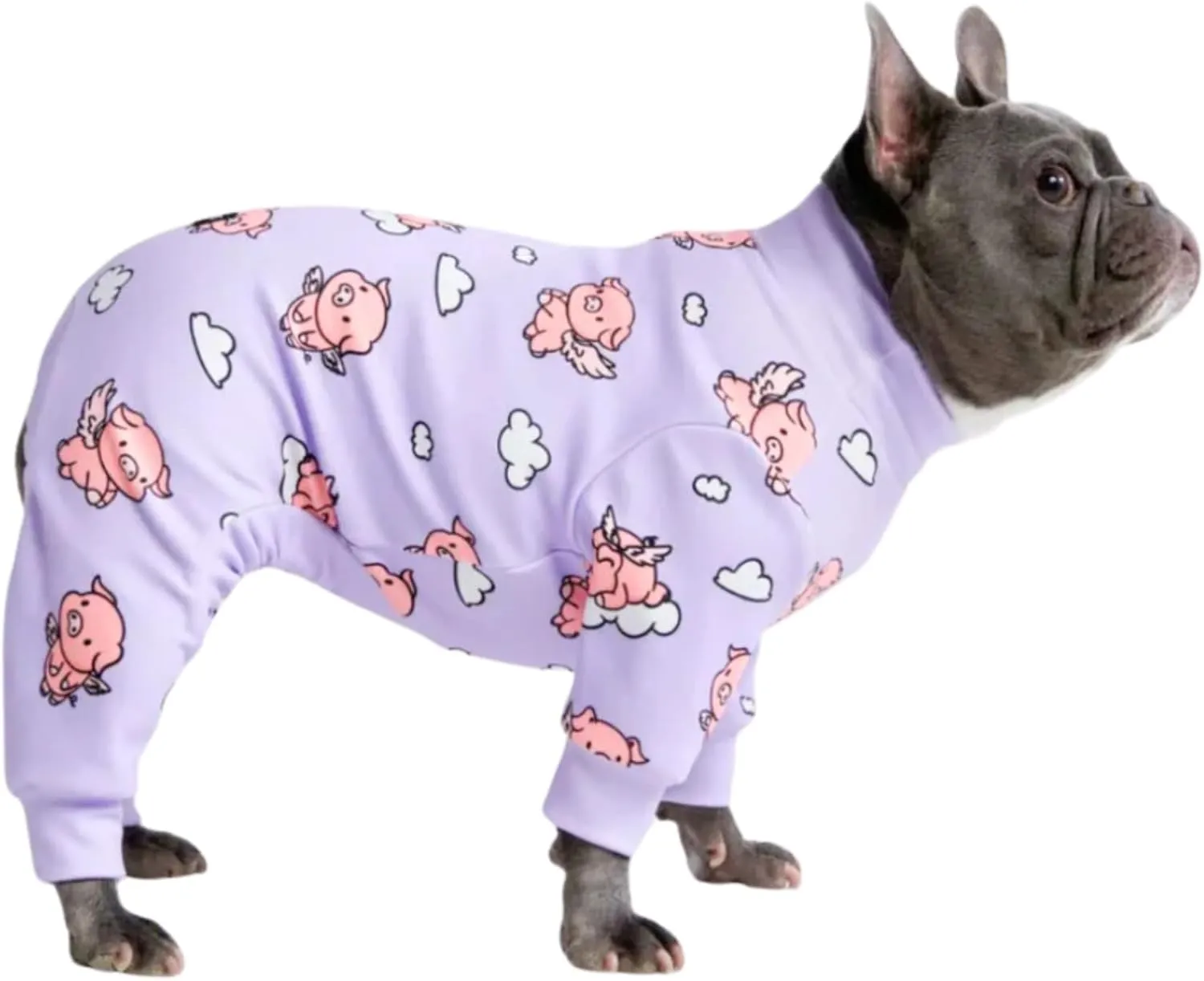 Spark Paws Dog Pajama, Ultra-Soft and 4-Way Stretch, Recovery-Suit PJ Onesie for Small, Medium and Large Breeds - When Pigs Fly - Purple - L
