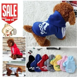 Stylin' Doggy Sweater