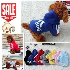 Stylin' Doggy Sweater