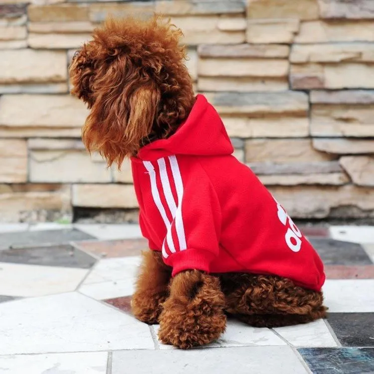 Stylin' Doggy Sweater