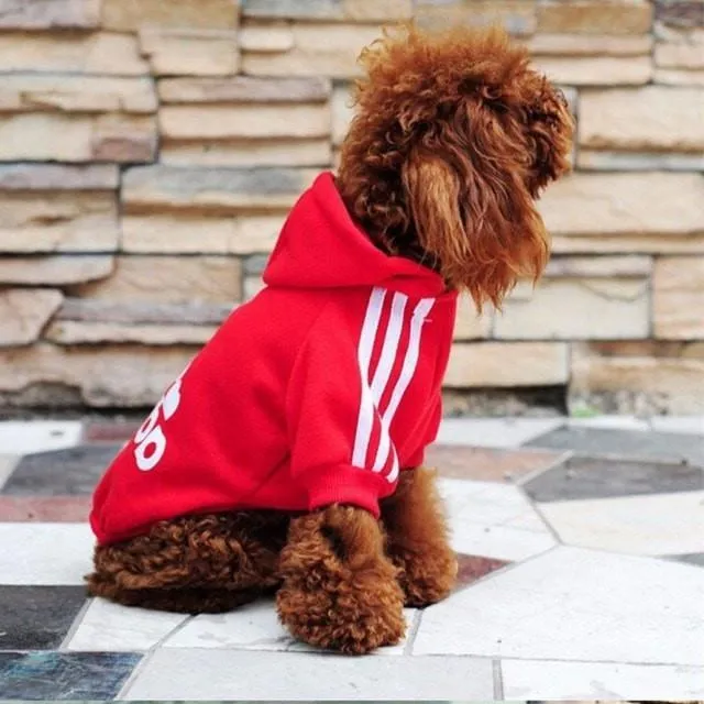 Stylin' Doggy Sweater