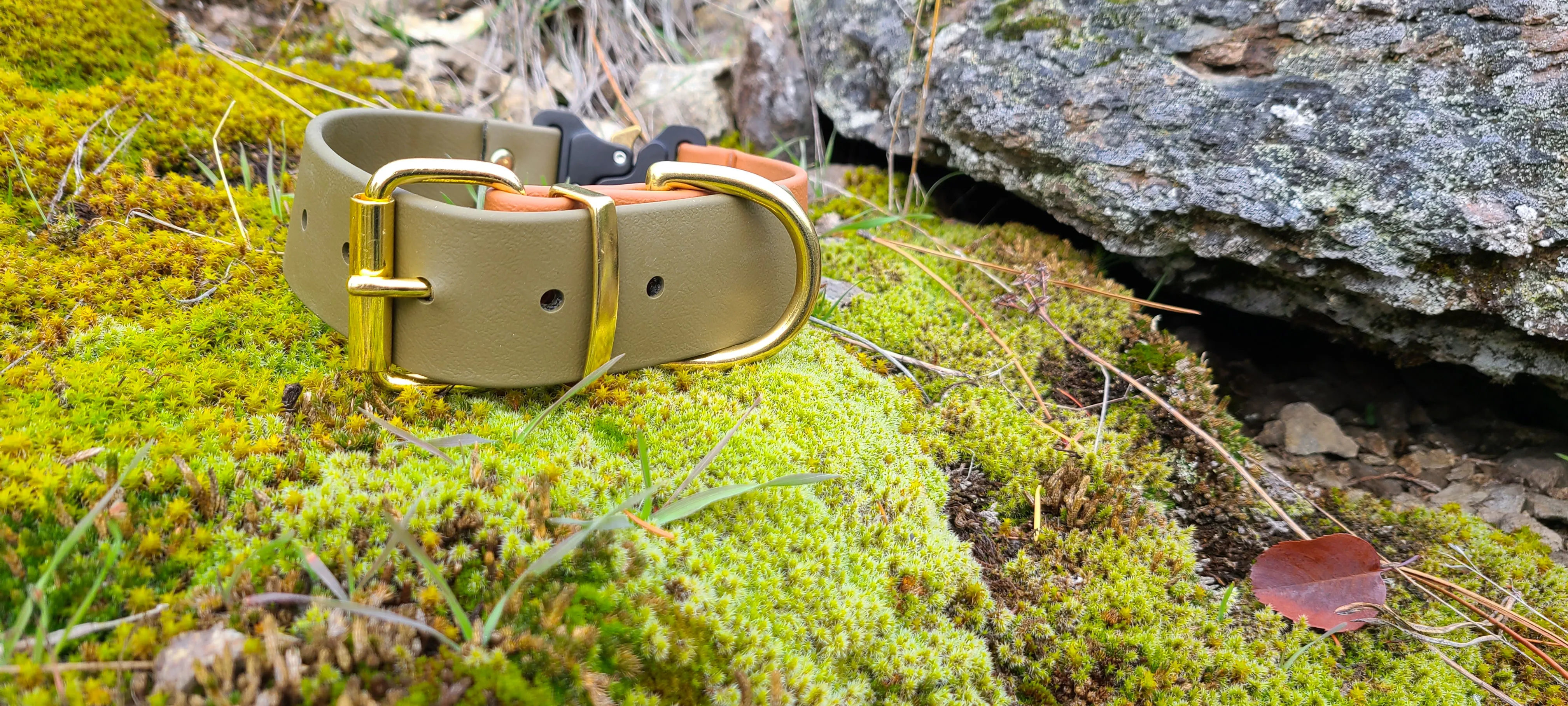 TORO COLLECTION - Tan & Olive Biothane Dog Collar