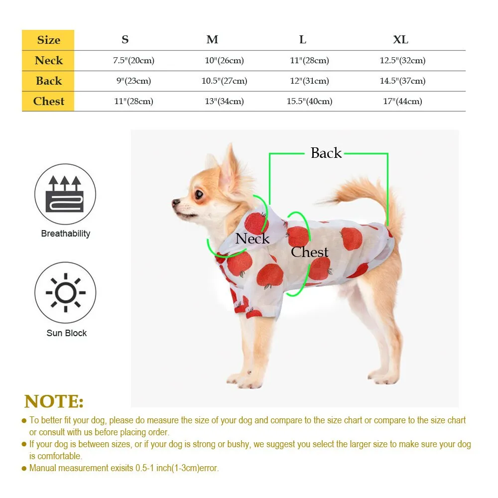Translucent Sun-proof Raincoat