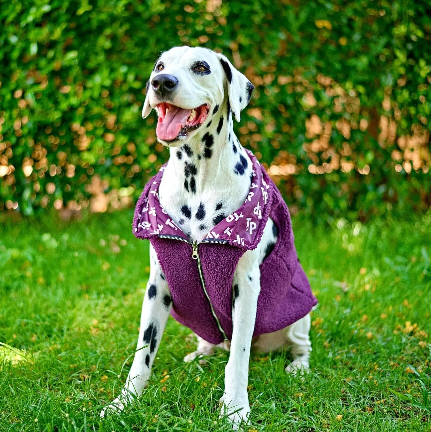 Tuff Pupper Reversible Fleece Dog Vest | Lightweight Comfortable Insulated Jacket for Spring & Fall | Front Zip Closure | Machine Washable | Built-in Leash Hole | Sizes for All Breeds (Medium, Purple)