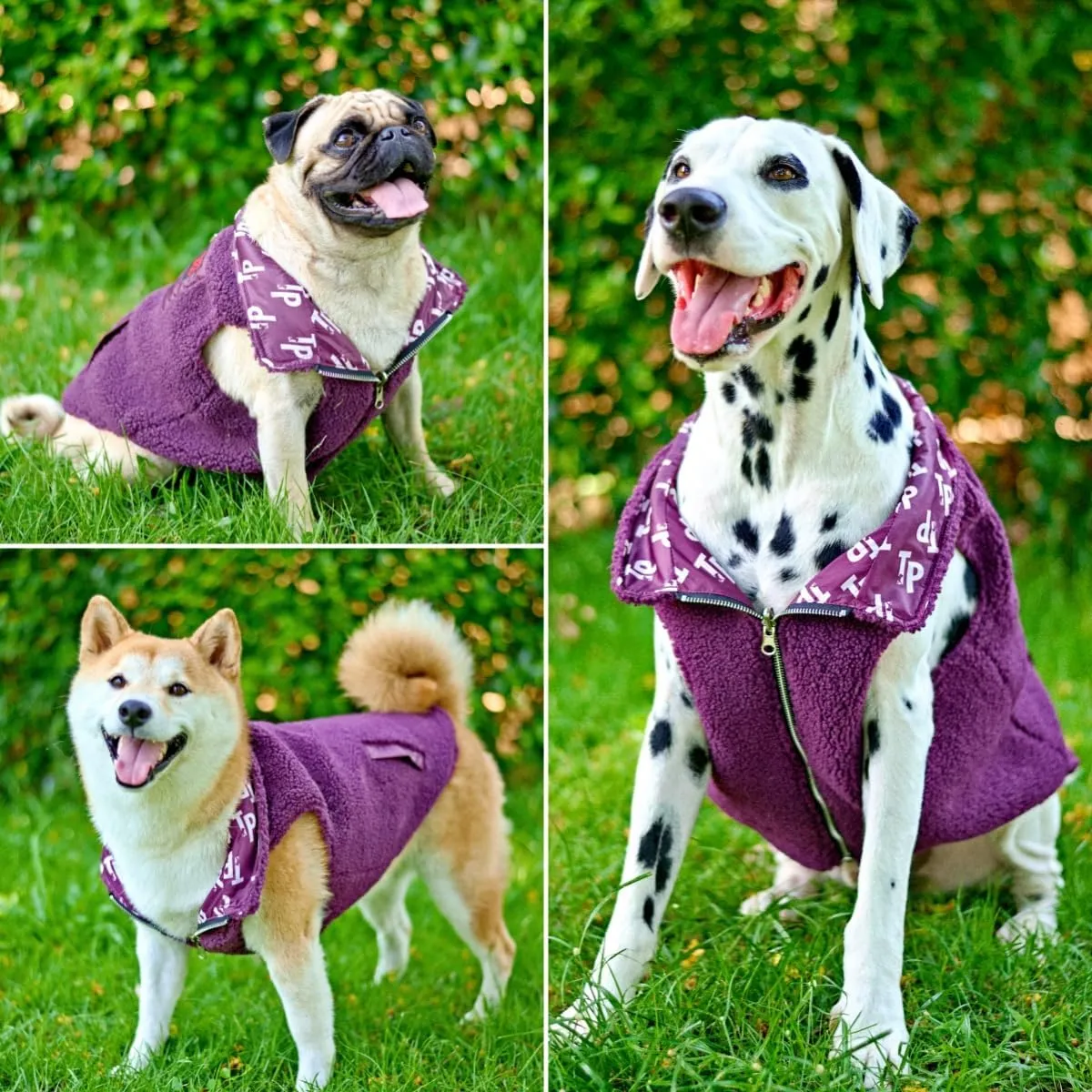 Tuff Pupper Reversible Fleece Dog Vest | Lightweight Comfortable Insulated Jacket for Spring & Fall | Front Zip Closure | Machine Washable | Built-in Leash Hole | Sizes for All Breeds (Medium, Purple)