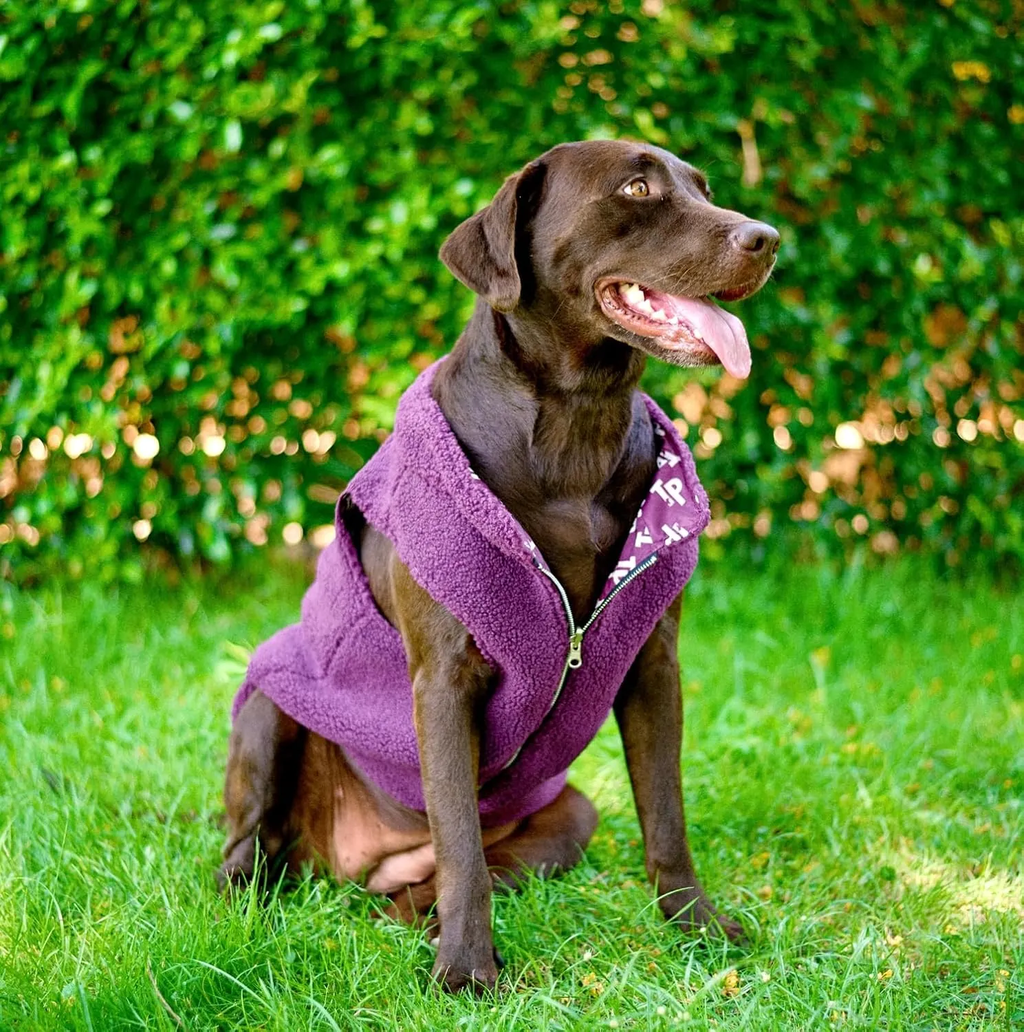 Tuff Pupper Reversible Fleece Dog Vest | Lightweight Comfortable Insulated Jacket for Spring & Fall | Front Zip Closure | Machine Washable | Built-in Leash Hole | Sizes for All Breeds (Medium, Purple)