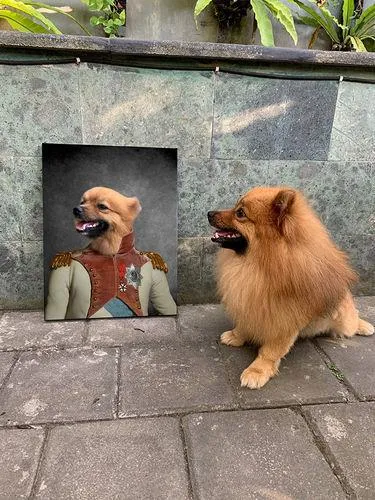 Vampiracle - Halloween & Vampires Inspired Custom Pet Portrait Canvas