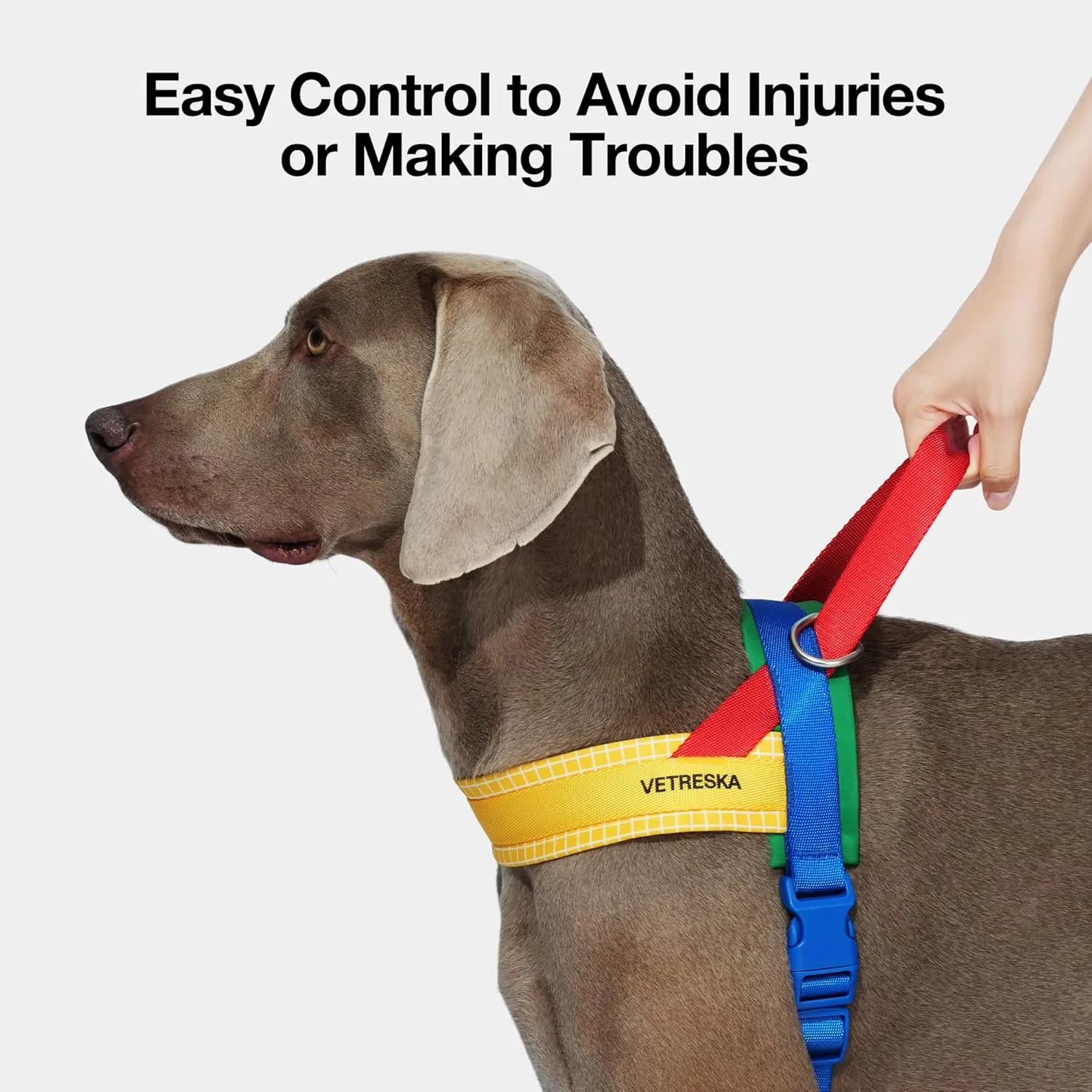 VETRESKA MoMA Dog Harness and Leash Set, Easy Walk Dog Harness for Small Medium Dogs, No Pull Puppy Harness for Walking and Training, Adjustable, Take Control & Anti-Twist Pet Lead Combo(Yellow, XS)
