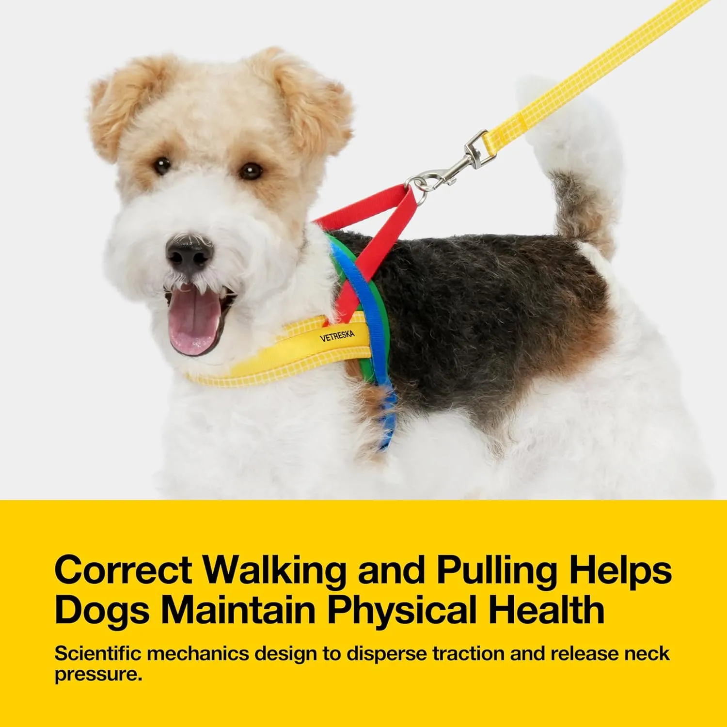 VETRESKA MoMA Dog Harness and Leash Set, Easy Walk Dog Harness for Small Medium Dogs, No Pull Puppy Harness for Walking and Training, Adjustable, Take Control & Anti-Twist Pet Lead Combo(Yellow, XS)