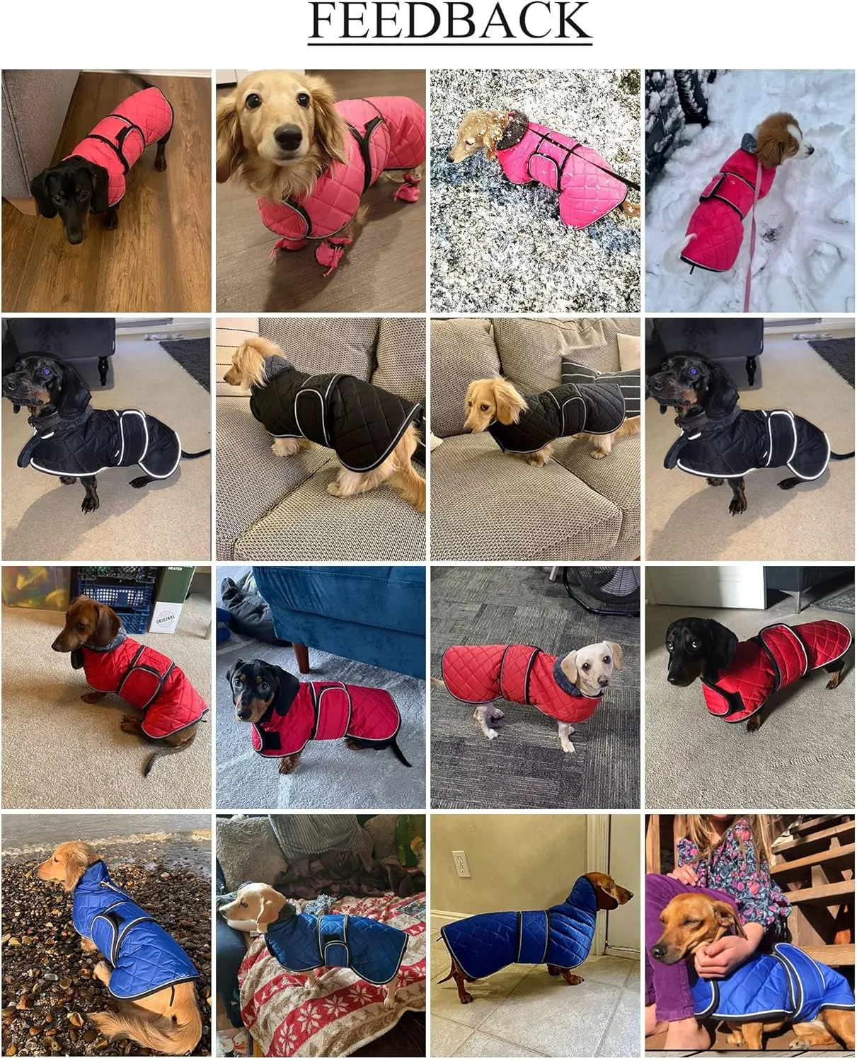 Warm Thermal Quilted Dachshund Coat, Dog Winter Coat with Warm Fleece Lining, Outdoor Dog Apparel with Adjustable Bands for Medium, Large Dog-Orange-L