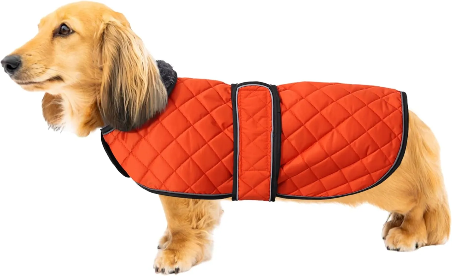 Warm Thermal Quilted Dachshund Coat, Dog Winter Coat with Warm Fleece Lining, Outdoor Dog Apparel with Adjustable Bands for Medium, Large Dog-Orange-L