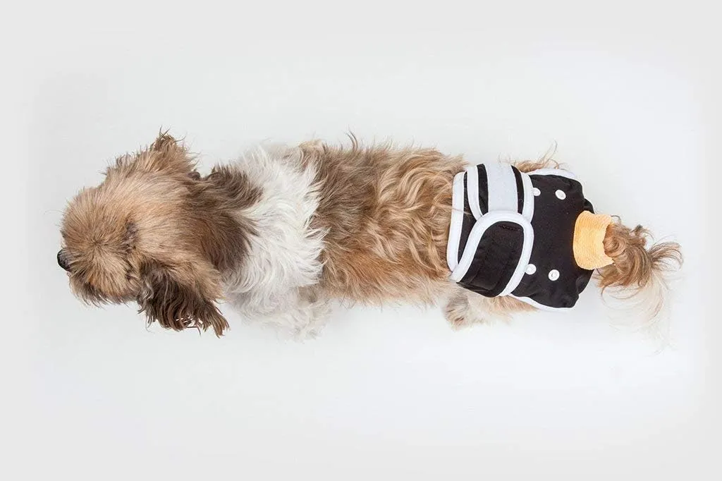 Washable Wonders Male Dog Diaper | Premium Reusable Dog Diapers | Dog Diapers for Male Small Dogs | Waterproof and Washable (Black S)