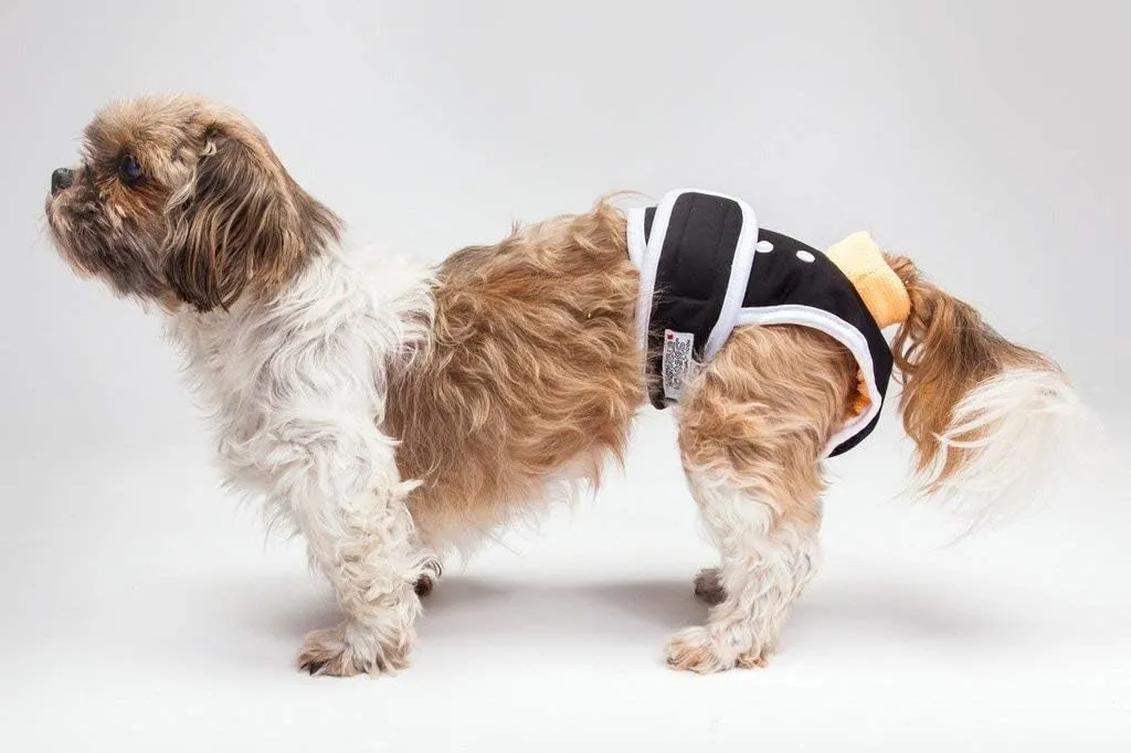 Washable Wonders Male Dog Diaper | Premium Reusable Dog Diapers | Dog Diapers for Male Small Dogs | Waterproof and Washable (Black S)