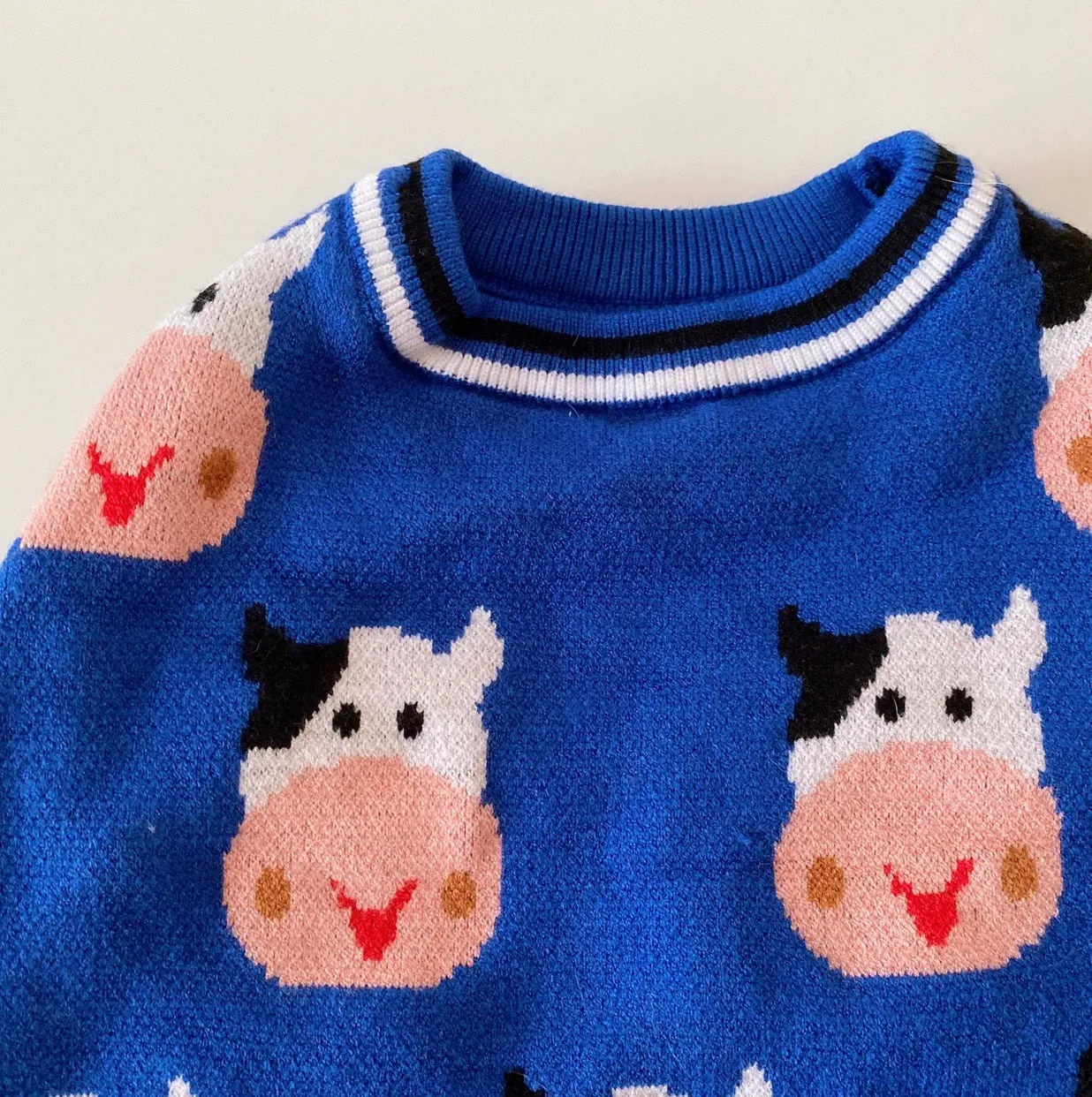 Winter Sweater for French Bulldog (WS301)