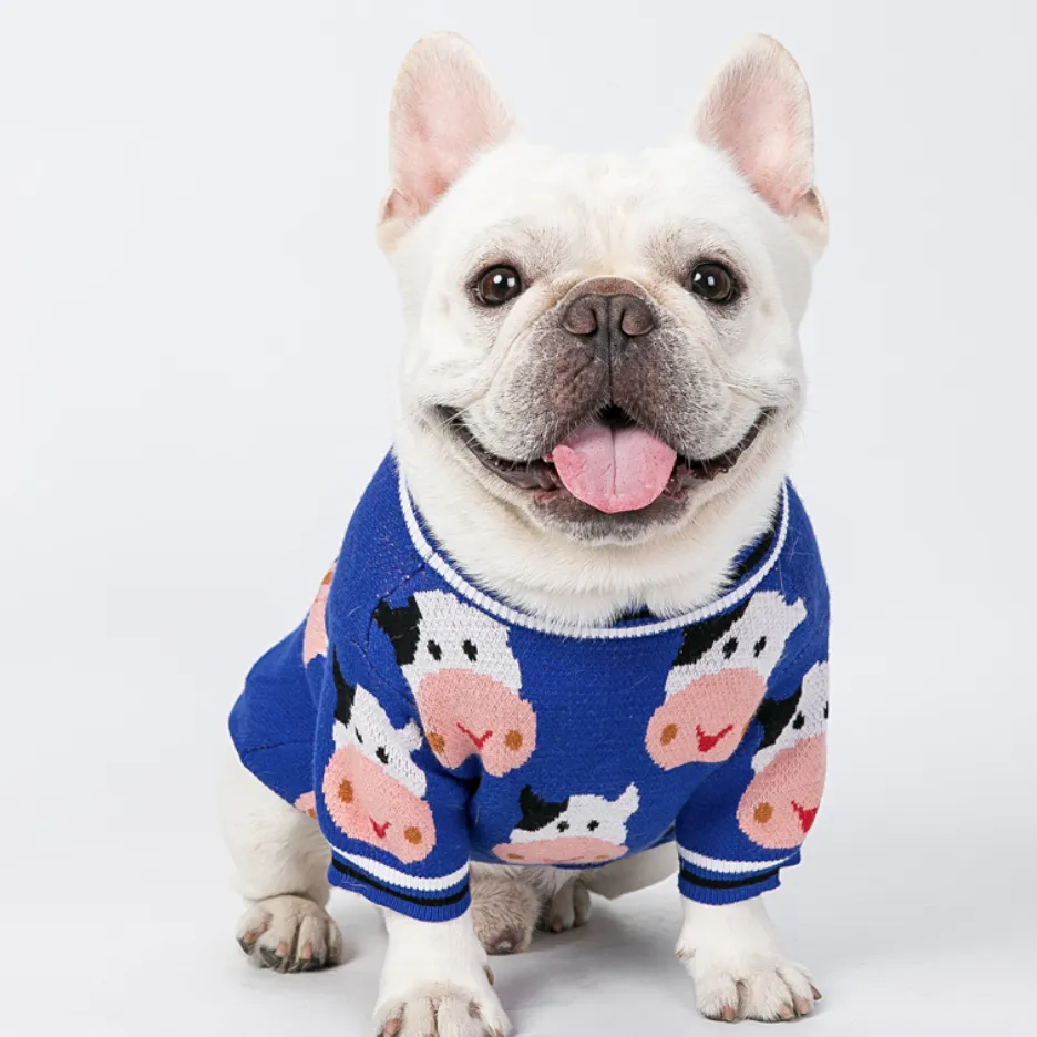 Winter Sweater for French Bulldog (WS301)