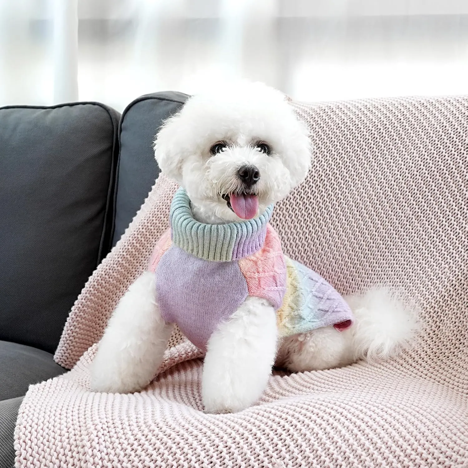 WOYYHO Colorful Knitted Dog Sweater with Leash Hole Turtleneck Puppy Sweaters Warm Dog Winter Clothes for Chihuahua Yorkies Havanese (Large, Rainbow Colors)